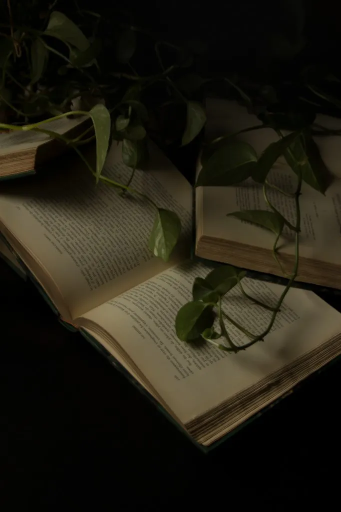 Caravaggio Still Life